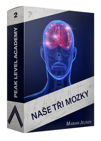 2 Naše tři mozky productbox 2 Naše tři mozky productbox